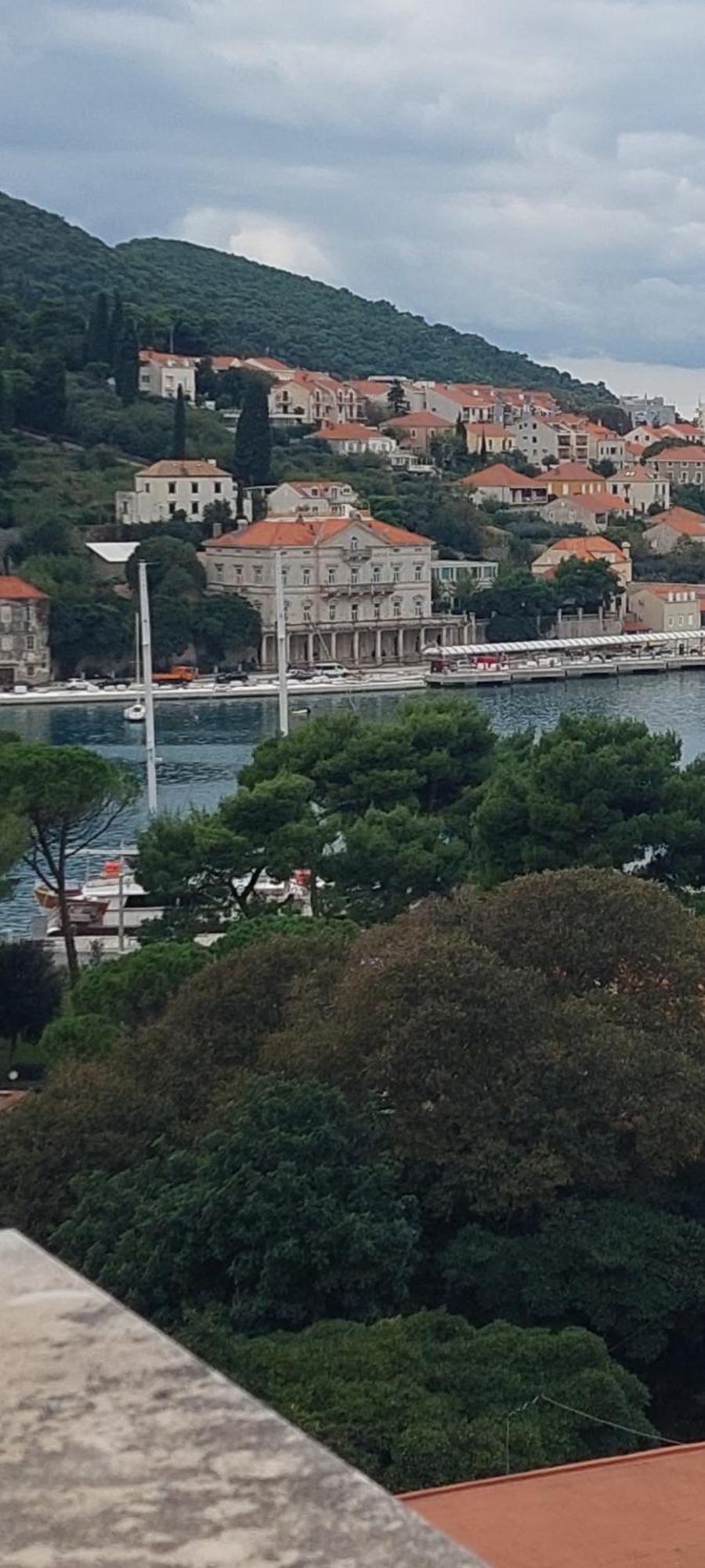 Vlaho Apartman Dubrovnik Kültér fotó